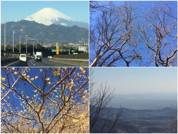 富士の高嶺に雪.jpg