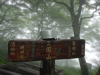 霧の丹沢-4.jpg