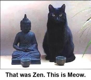That was zen this is meow.jpg