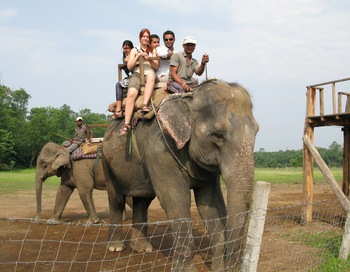 chitwan riding elephant.jpg